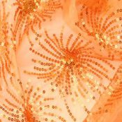 Orange Destiny Overlay