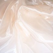 Ivory Organza Overlay