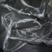 Silver Organza Overlay