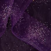 Purple Constellation Overlay