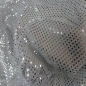 Silver Sequin Applique Overlay