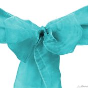 Aqua Organza Sash