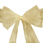 Gold Organza Sash