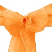 Orange Organza Sash