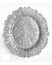 Silver Burst Charger