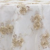 Champagne Vintage Veil Overlay