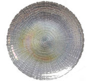 Silver Shell Charger