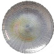 Silver Shell Charger