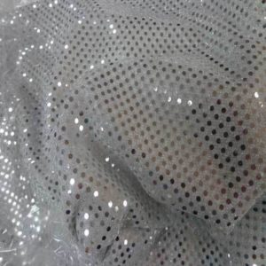 Silver Sequin Applique Overlay