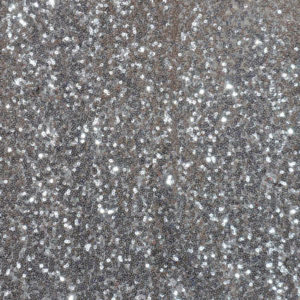 Silver Sequins Linen
