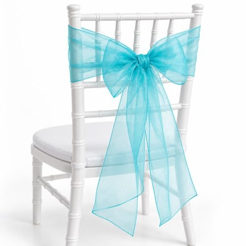 Aqua Organza Sash