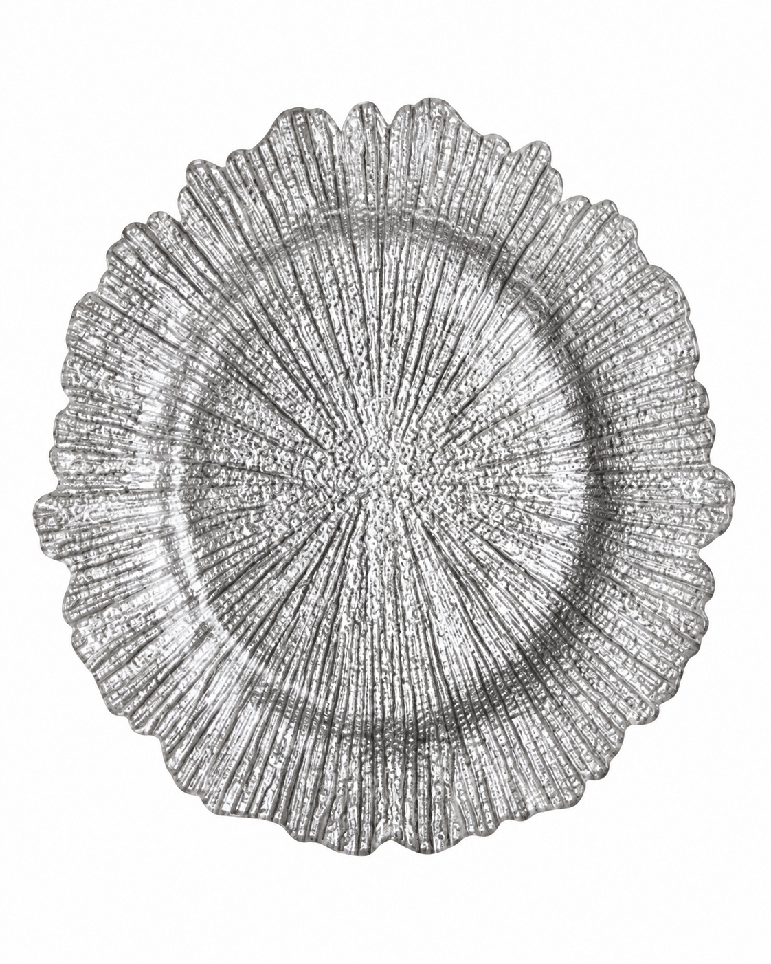 Silver Burst Charger